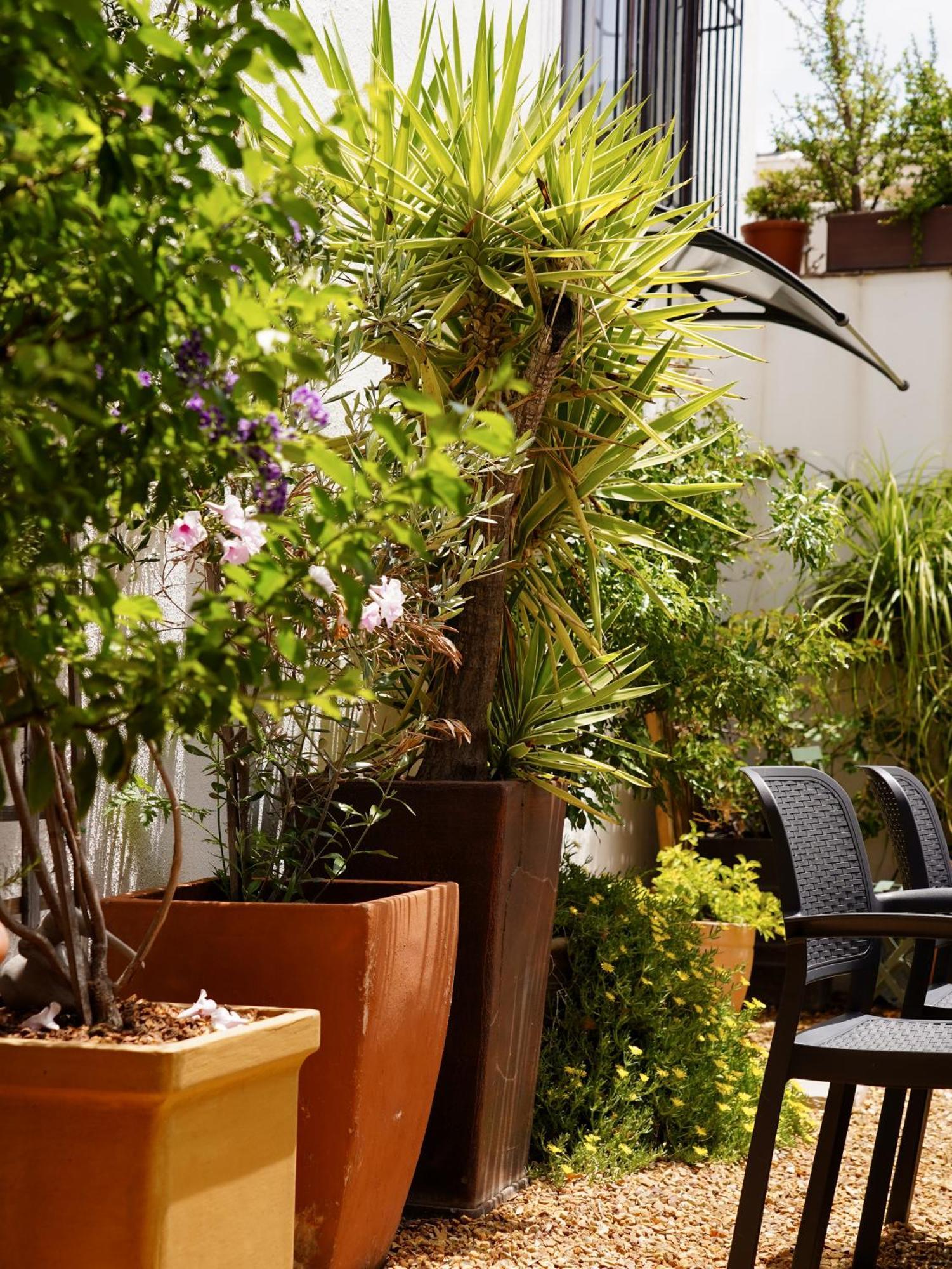 Belmont Guest House Cape Town Exterior photo
